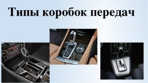 Виды