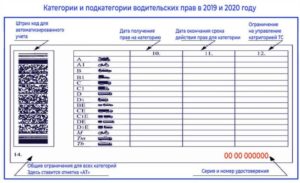 Категории ВП